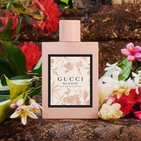 gucci bloom smell like|gucci bloom similar fragrances.